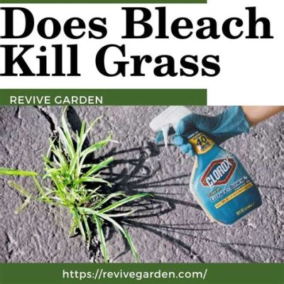 Will Bleach Kill Flowers?